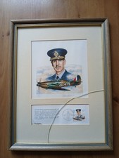 Raf aircraft lithograph for sale  NORWICH