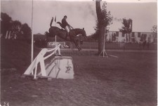 Saut obstacle cheval d'occasion  Paris V