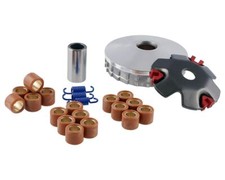 Variomatik 2extreme performanc gebraucht kaufen  Moers