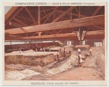 Chromo liebig san. usato  Terni