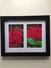 Bright pink tropical for sale  Clinton
