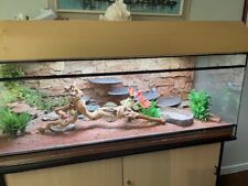 Terrarium 150x60x60 zubehör gebraucht kaufen  Wuppertal