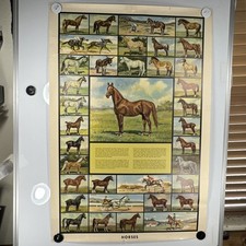 Vintage educational poster for sale  Alamogordo