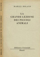 Grande lezione dei usato  Italia