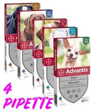 Advantix antiparassitario pipe usato  Malalbergo