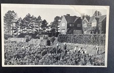 Hambledon vineyard time for sale  BURY