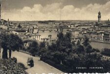 Cartolina firenze panorama usato  Teramo