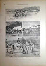 Stampa antica roma usato  Lecco