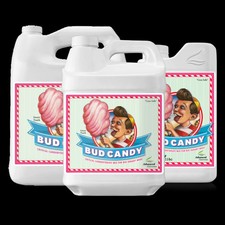 Advanced nutrients bud gebraucht kaufen  Herzogenrath