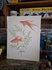 Vintage old aquarium for sale  Phoenix