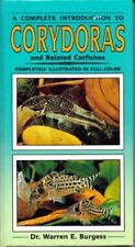 Complete guide corydoras for sale  UK