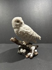 Veronese snowy owl for sale  West Palm Beach