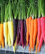 Rainbow carrot blend for sale  Deltona
