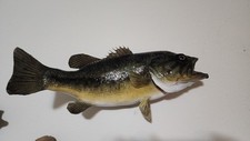 20.5 largemouth bass for sale  Rib Lake