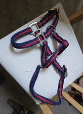 Kind halter size for sale  LICHFIELD