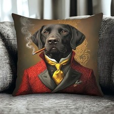 housse coussin 60x60 d'occasion housse coussin 60x60 d'occasion  Cergy-