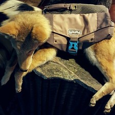 Saddlebags big dog for sale  Murphy