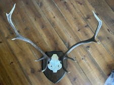 Vintage point deer for sale  BRISTOL
