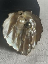 Iridescent abalone clam for sale  Fort Lauderdale