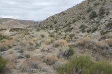 Bobcat placer gold for sale  La Quinta