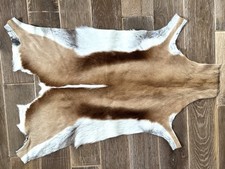 springbok hides for sale  SLEAFORD