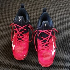 Mizuno wave momentum gebraucht kaufen  Luckau