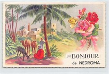 Algérie nedroma bonjour d'occasion  France