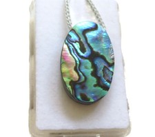 Paua muschel abalone gebraucht kaufen  Ering