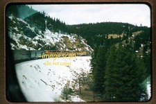 Rio grande rgw for sale  Peoria