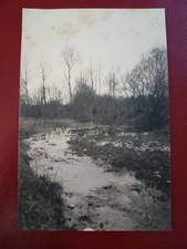 Paesaggio salmastro bianco usato  Ravenna