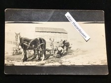 Rare livona dakota for sale  Waterloo