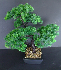 Bonsai edelstein baum gebraucht kaufen  Bremerhaven