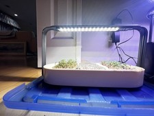 Ingarden microgreens growing for sale  San Marino