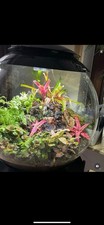 aquarium gebraucht kaufen aquarium gebraucht kaufen Leonberg