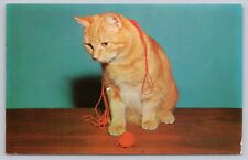 Give yarn short for sale  Shelbyville