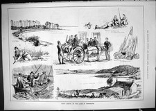 Old 1881 trout for sale  UK