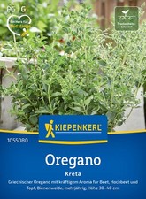 Regano griechischer kreta gebraucht kaufen  Essen