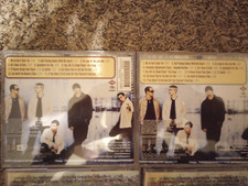 4 CD Lot Different Tracklistings/Never Gone Regular and Deluxe - Backstreet Boys comprar usado  Enviando para Brazil