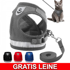 Harnais chien chien d'occasion Harnais chien chien d'occasion  France