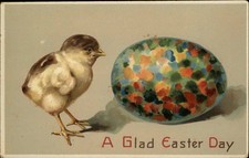 Easter baby chick for sale  USA