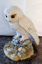 Large teviotdale snowy for sale Large teviotdale snowy for sale  WHITBY
