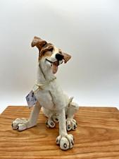 Jack russell terrier for sale  Belgrade