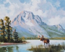 Tom haas painting for sale  Sierra Vista