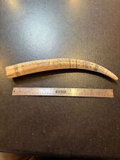 Scrimshaw replica tusk for sale  Tucson
