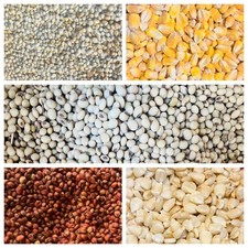 Milho da Guiné (Dawa) e Millet (Joro) comprar usado  Enviando para Brazil