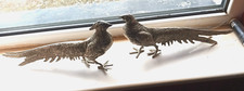 Pair silverplate pheasants for sale  LIMAVADY