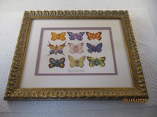 Anne geddes butterfly for sale  Seymour