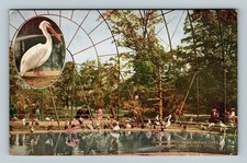 Cartão postal vintage de Nova York NY, Flying Cage, NY, Parque Zoológico, Nova York comprar usado  Enviando para Brazil