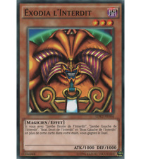Carte éxodia interdit d'occasion  Bois-d'Arcy