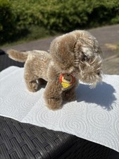 Steifftier raudi dackel gebraucht kaufen  Quickborn